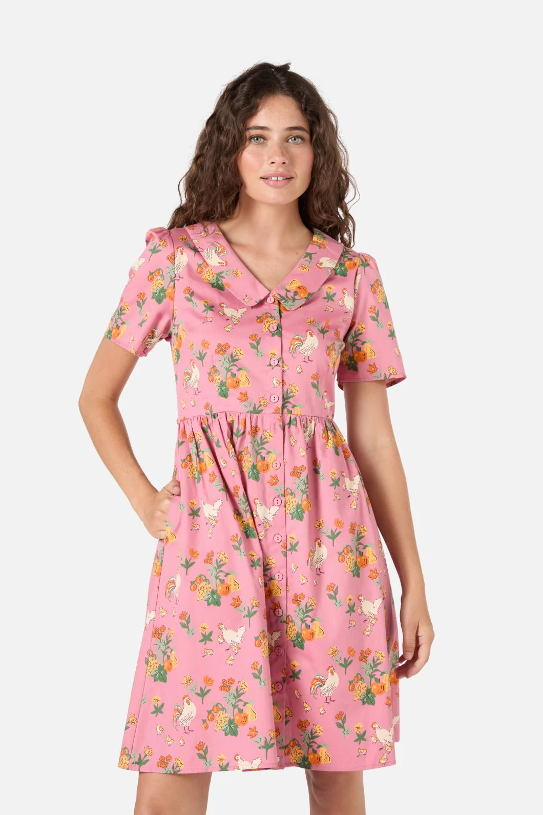 Chickens Mini Shirt Dress - Image 4