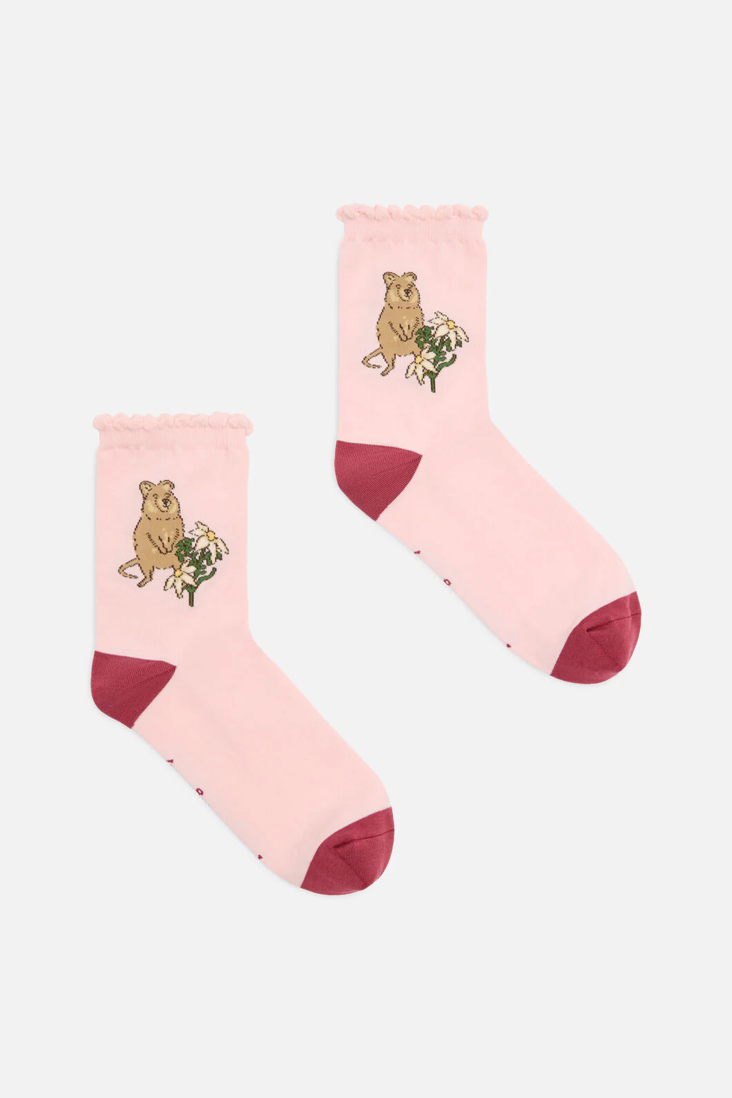 Quokka Socks