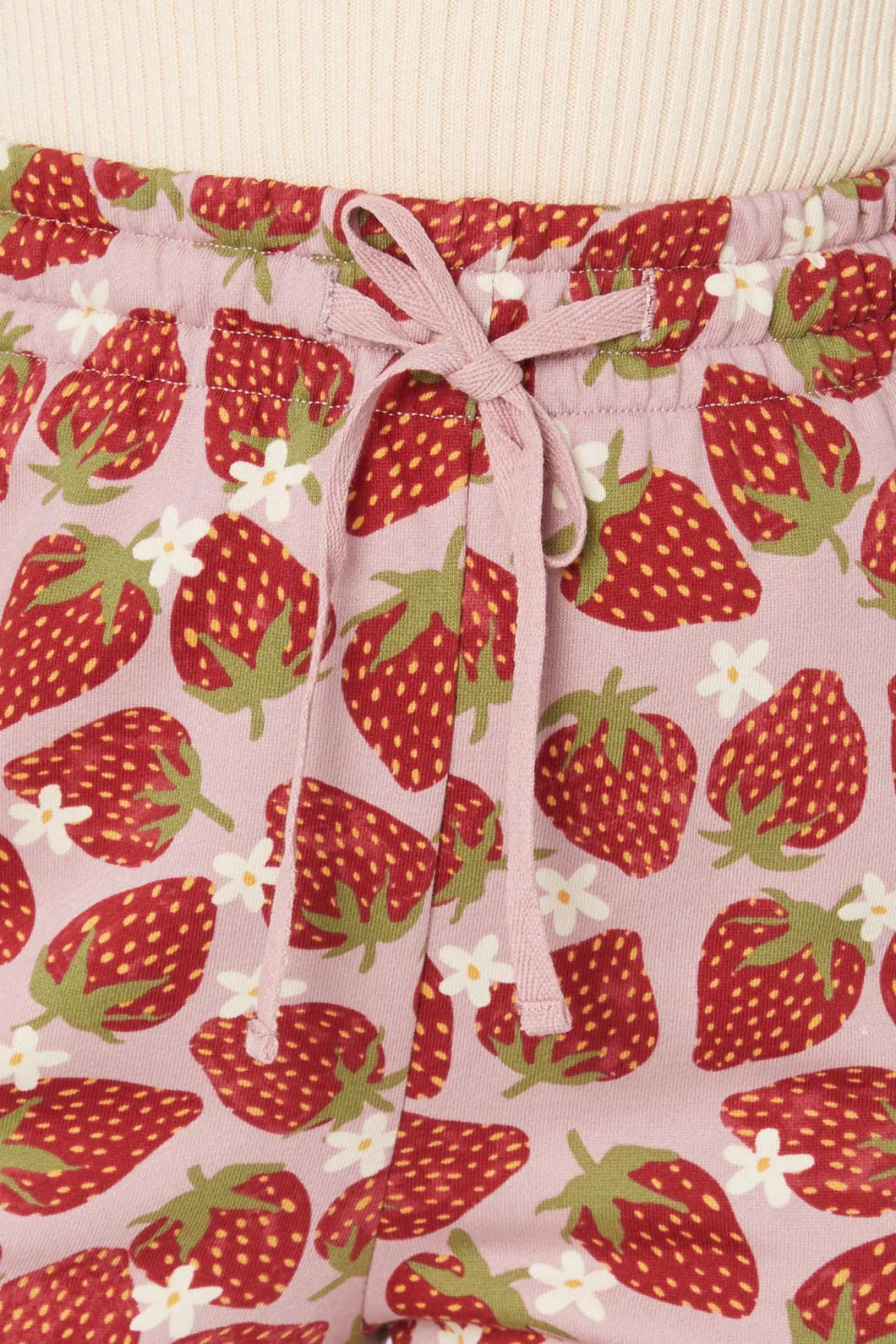 Strawberry&DaisyTrackPan - Image 5
